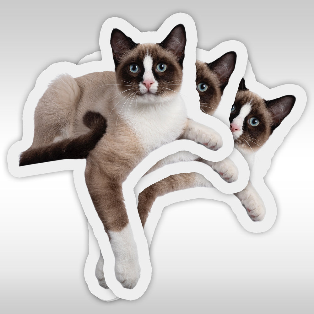 Custom Cat Stickers-Pet Stickers-Quality Custom Stickers - StickerPRO.com