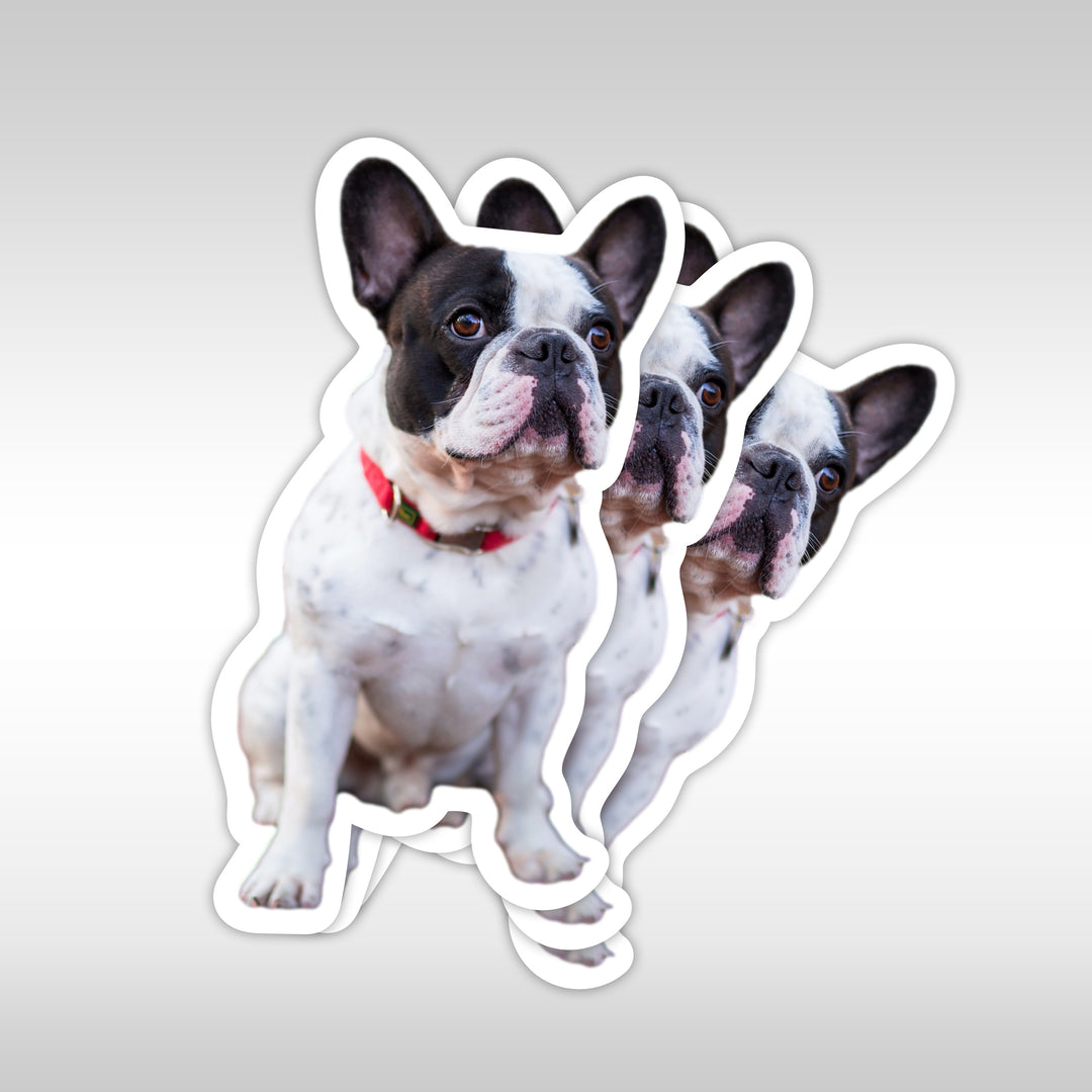 Custom Dog Stickers-Pet Stickers-Quality Custom Stickers - StickerPRO.com