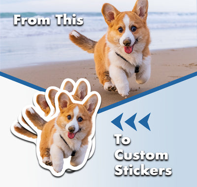 Custom Animal Stickers